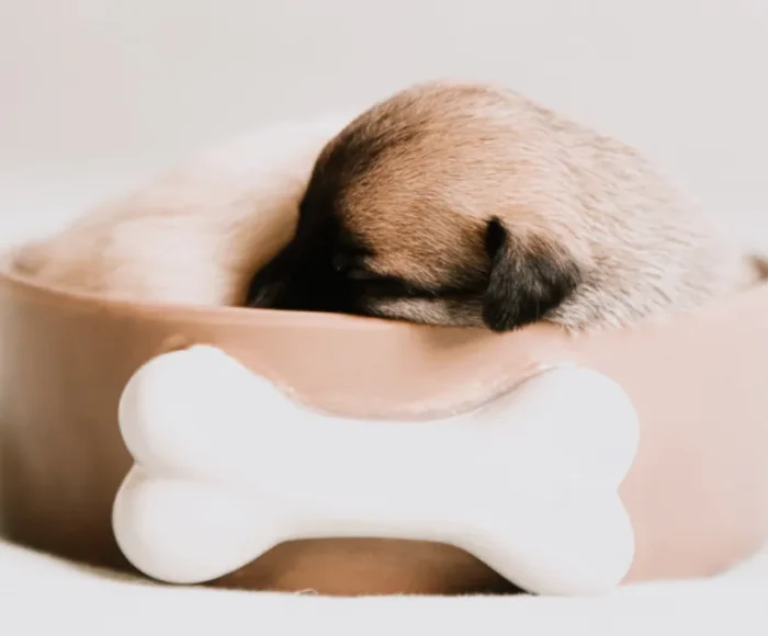 product-thumb-7_optimized